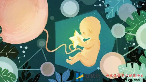 做试管婴儿能100%取得成功吗(图3)