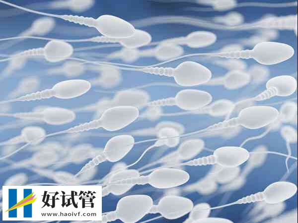 精液中白细胞增多有多种原因