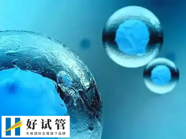 囊胚移植前要注意休息