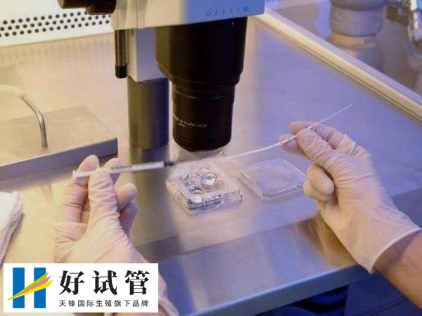 胚胎植入前遗传学筛查要10天左右