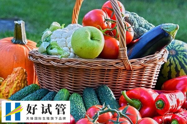 试管移植后要多吃新鲜蔬菜和水果
