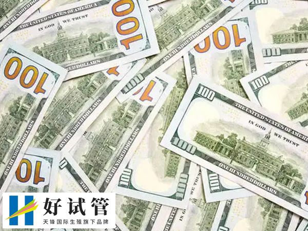 移植当天可能要交4000-8000元