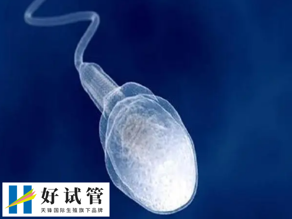 58岁试管婴儿成功率有多少(图1)