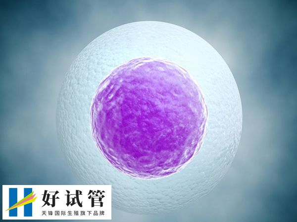 随着年龄增长供卵自怀成功率逐渐降低