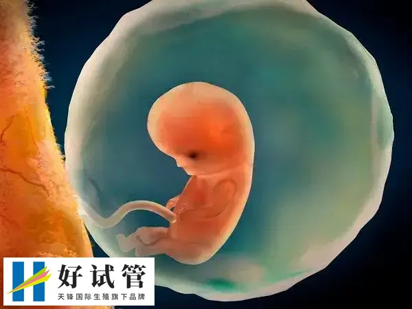 二代试管婴儿大约在4-6万元