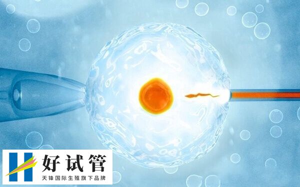 试管灌注粒细胞可改善内膜环境