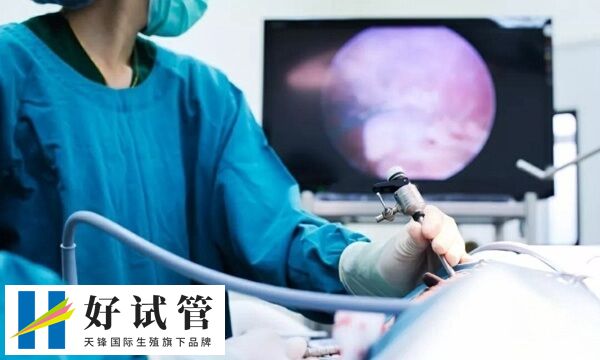 只有最健康的胚胎才会被选择进行移植