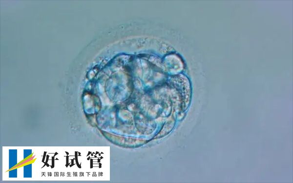 2pb发展潜力比2pn低