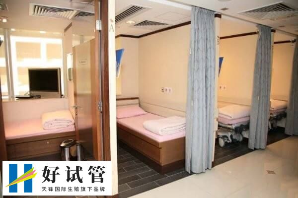 试管移植成功后要注意多休息