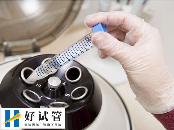 囊胚移植成功后激素水平会上升