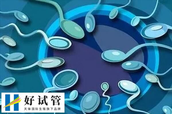 性行为不当会影响生育能力