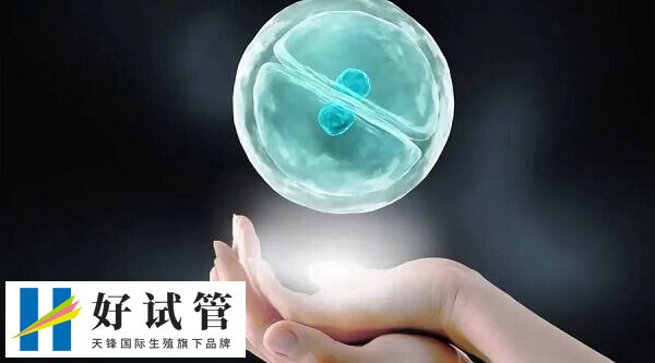 冻胚是放到-196℃的液氮中冷冻起来了