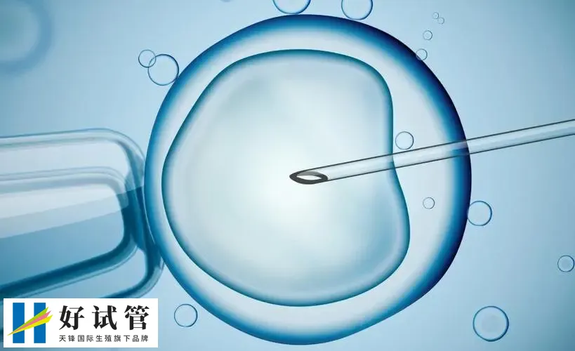 廊坊哪个医院可以做人工授精?推荐三大著名试管婴儿医院(图1)