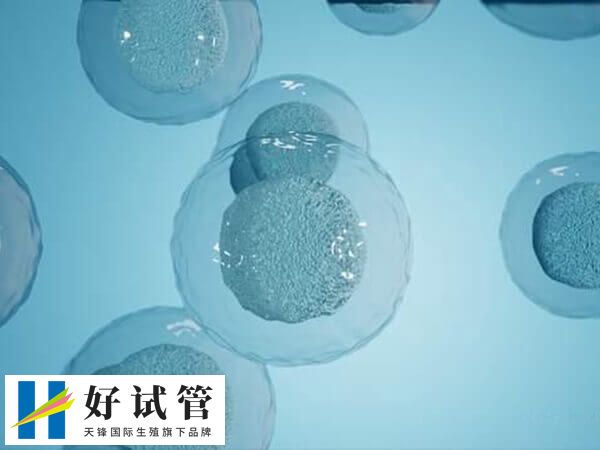 针灸可降低焦虑情绪