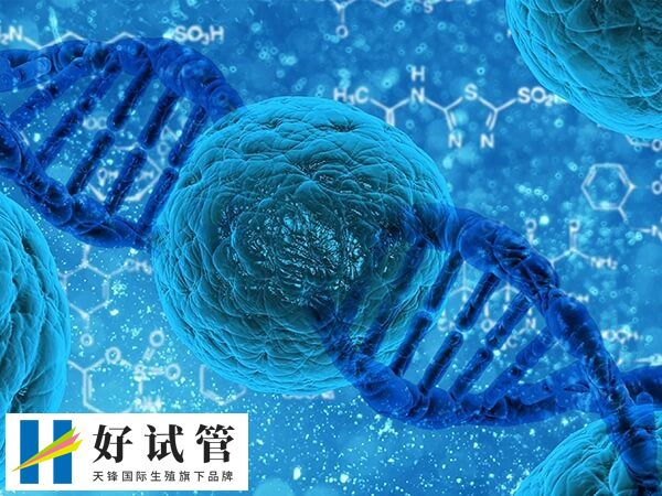 年龄越大试管婴儿成功率越低