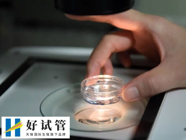 促排卵用药不同收费价格不同