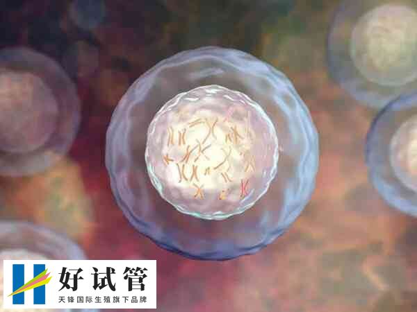 红斑狼疮涉及100多个相关基因