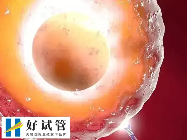 中国明令禁止通过试管技术选择胎儿性别