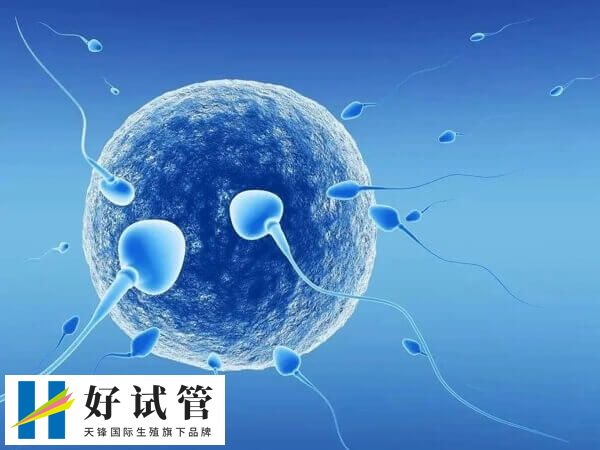 移植3ba囊胚成功真实案例分享